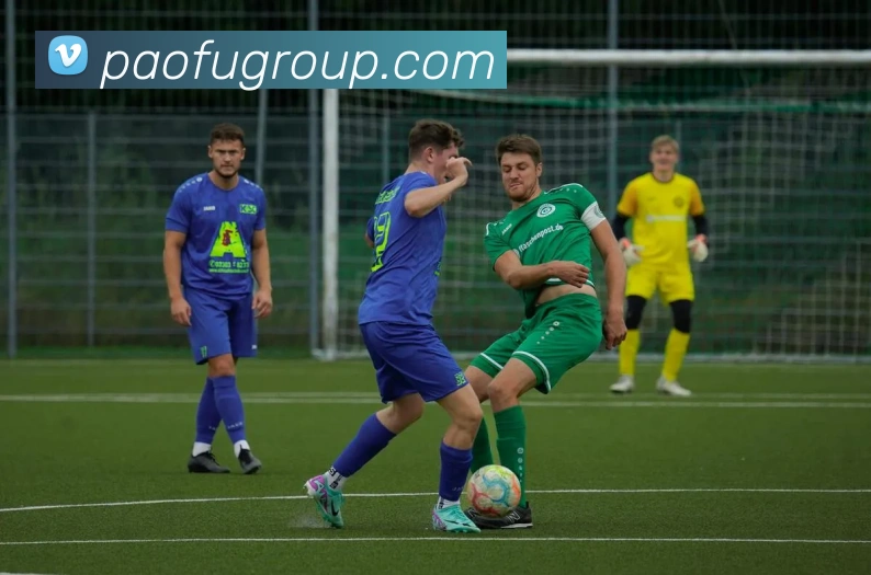 买球赛平台生态图